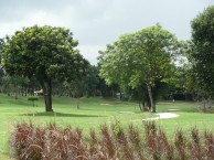 Treasure Hill Golf & Country Club - Fairway
